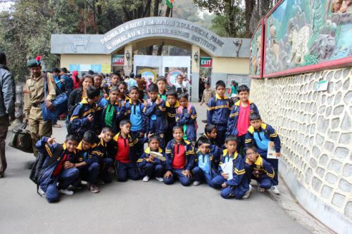 GLENHILL PUBLIC SCHOOL